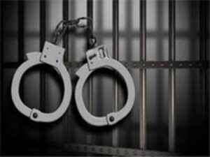 इलेक्ट्रॉनिक्स मंत्रालय से धोखाधड़ी के आरोप में दो गिरफ्तार