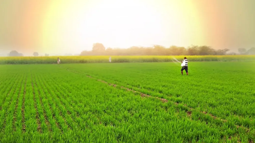 1405558 FARMER 3