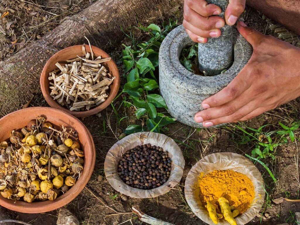 1405594 ayurveda