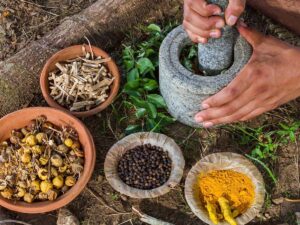 23 सितंबर को मनाया जाएगा आयुर्वेद दिवस, जानें इस दिन का महत्व