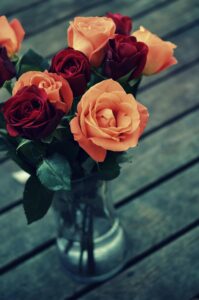 Hindi Poetry: “बर्बादियों का जश्न…” शायरों की महफिल से 8 खूबसूरत शेर
