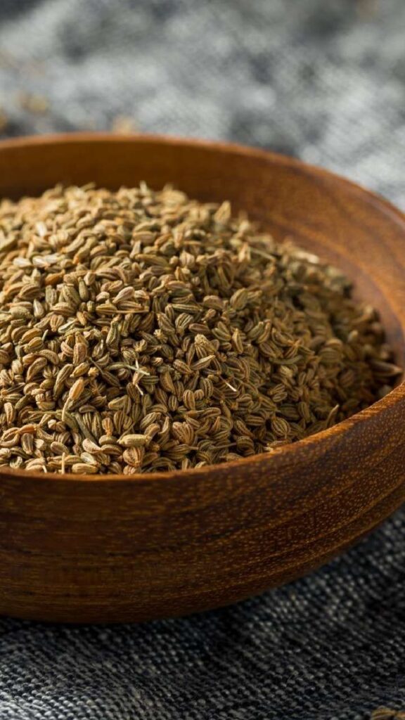 1405946 AJWAIN
