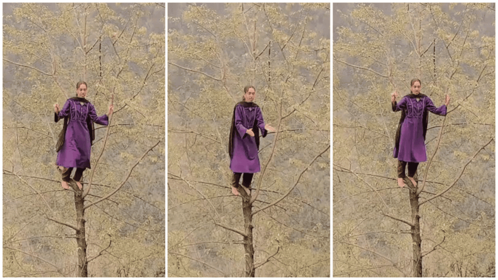 1406147 photo collage.png 1
