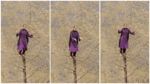 Viral Video: रील बनाने की लत में चूर महिला ने पेड़ पर चढ़कर किया डांस, वीडियो वायरल
