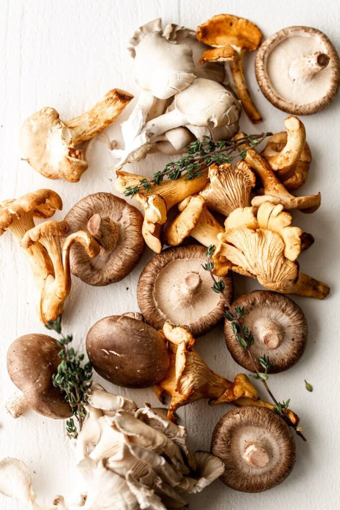 1406151 Mushrooms