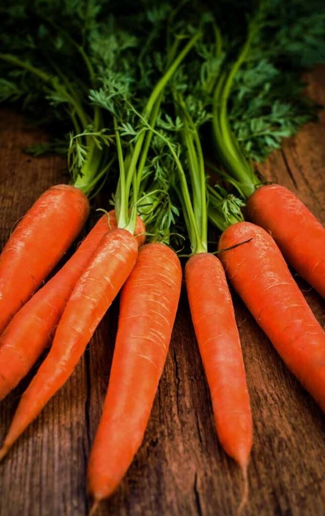 1406160 Carrot