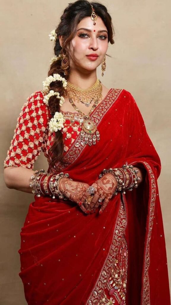 1406310 5 Classic Saree Blouse Designs By Sonarika Bhadoria For Newlyweds 2 1