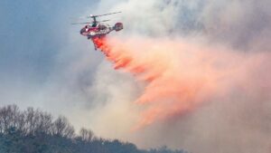 South Korea: जंगल की आग से तबाही, Fire Fighting Helicopter क्रैश, पायलट की मौत
