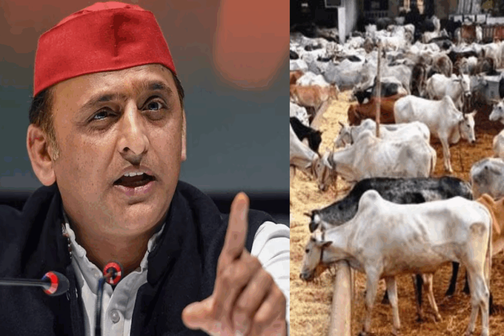 1406579 Akhilesh Yadav