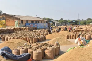 खाद्य भंडारण में सुधार के लिए सरकार लॉन्च करेगी Depot Darpan Portal