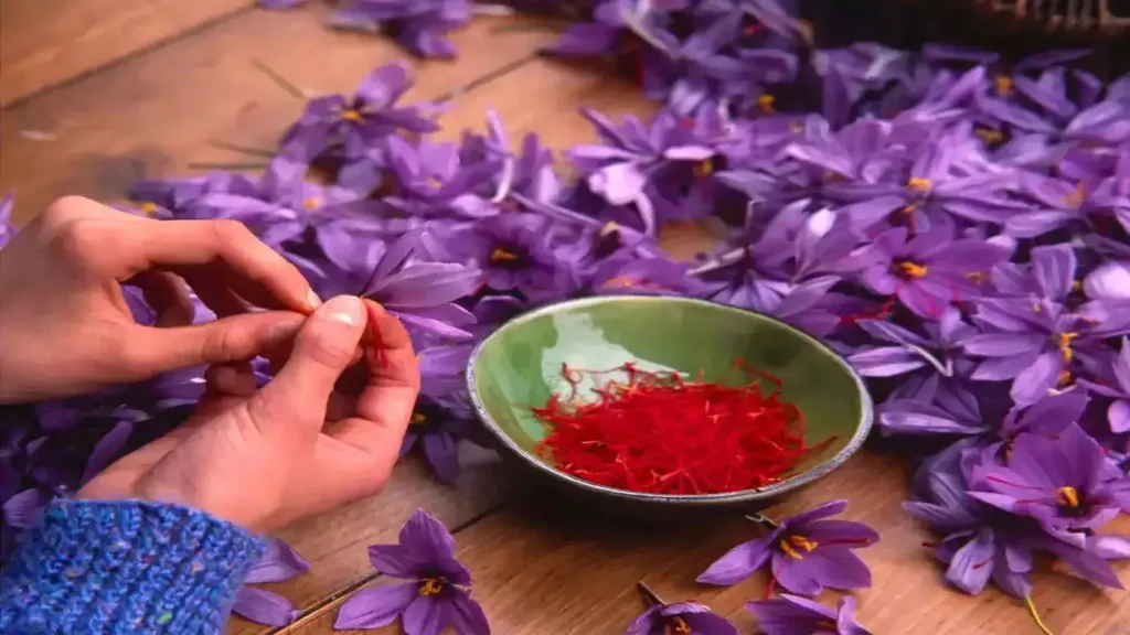 1406715 saffron price in india 120752960