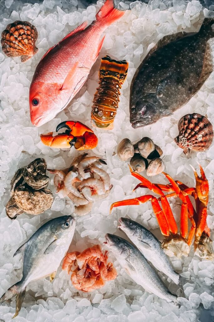 1407019 Seafood