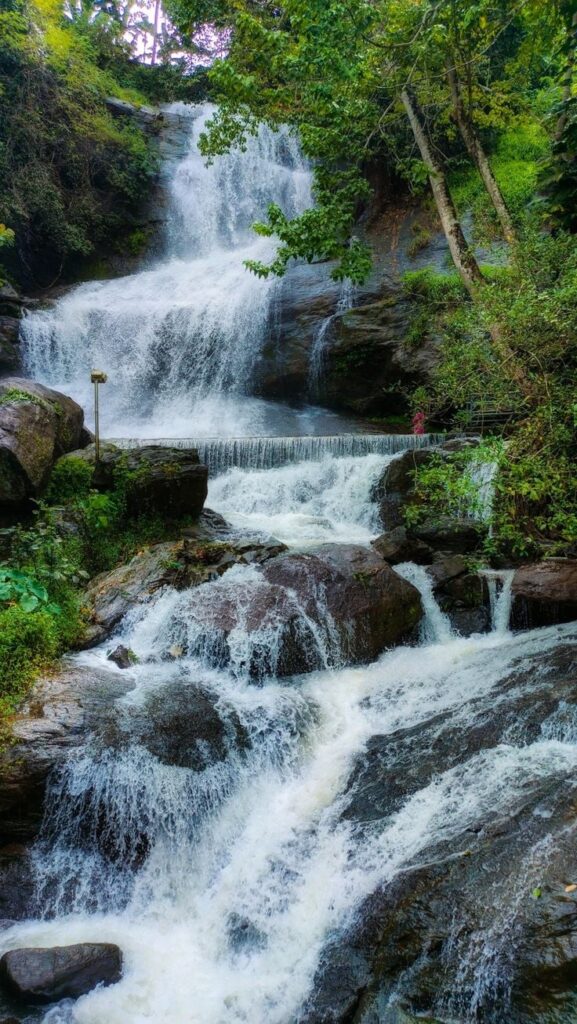 1407219 Waterfalls in India