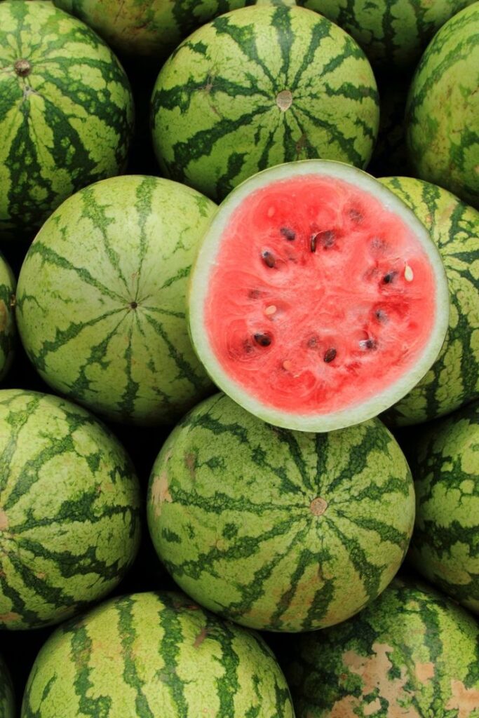 1407901 Watermelon