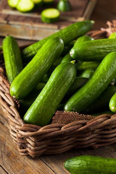 1408117 cucumber. 2