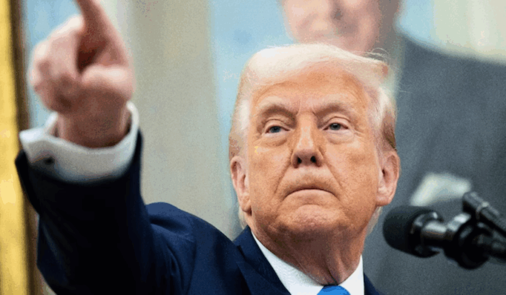 1408311 Donald Trump 2