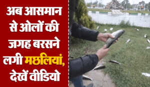Viral Video: पहले कभी नहीं देखी होगी मछलियों की बारिश, वायरल वीडियो देखकर हैरान रह जाएंगे