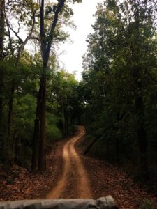 Adventure Ideas: रोमांच के शौकीनों के लिए भारत के 8 नेशनल पार्क, एक बार जरुर जाएं