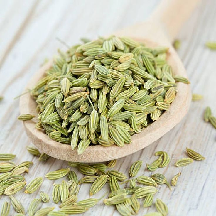 1409573 fennel powder