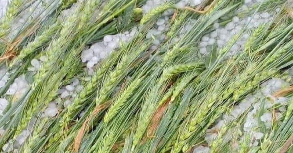 1409679 hail storm
