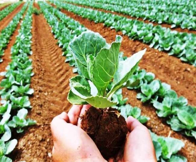 1409821 09022022 organicfarming22452297154915895