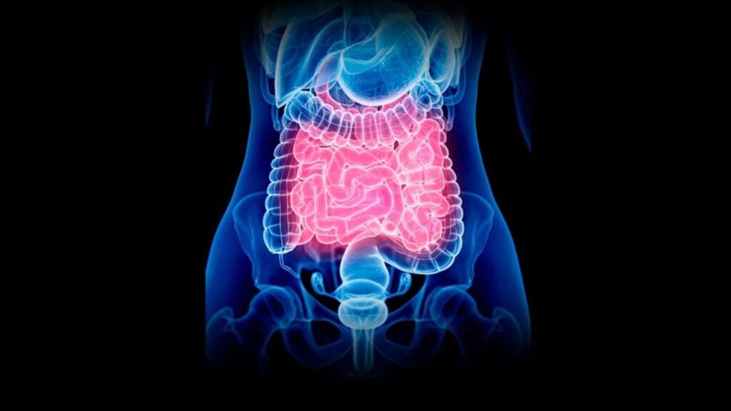 1443590 intestinal cleansing