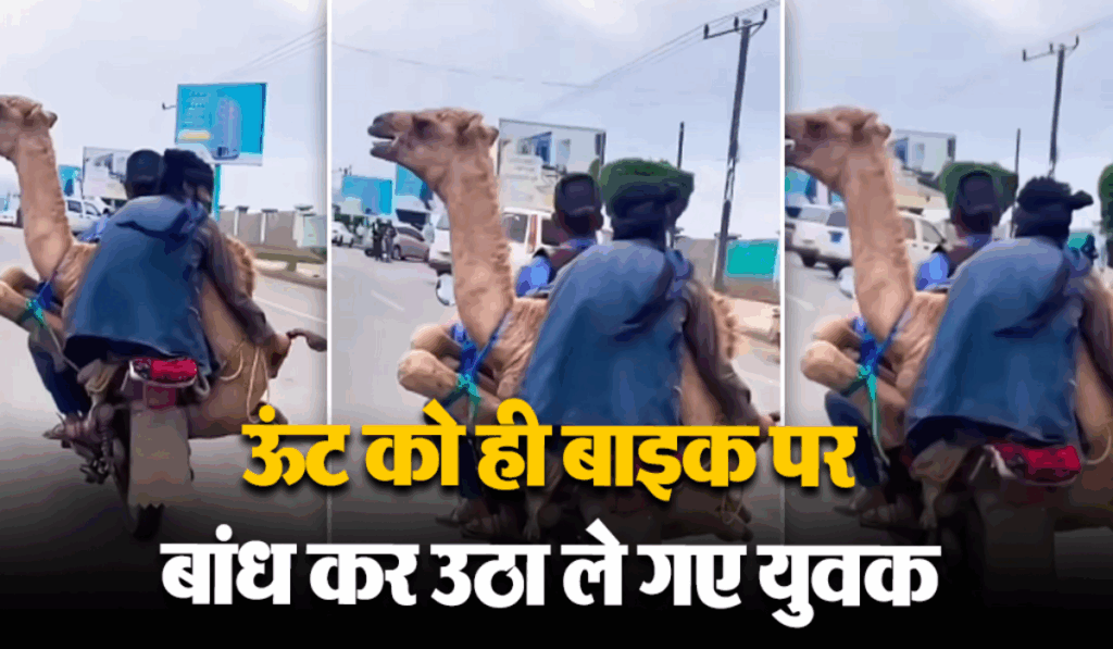 1443985 Viral News16