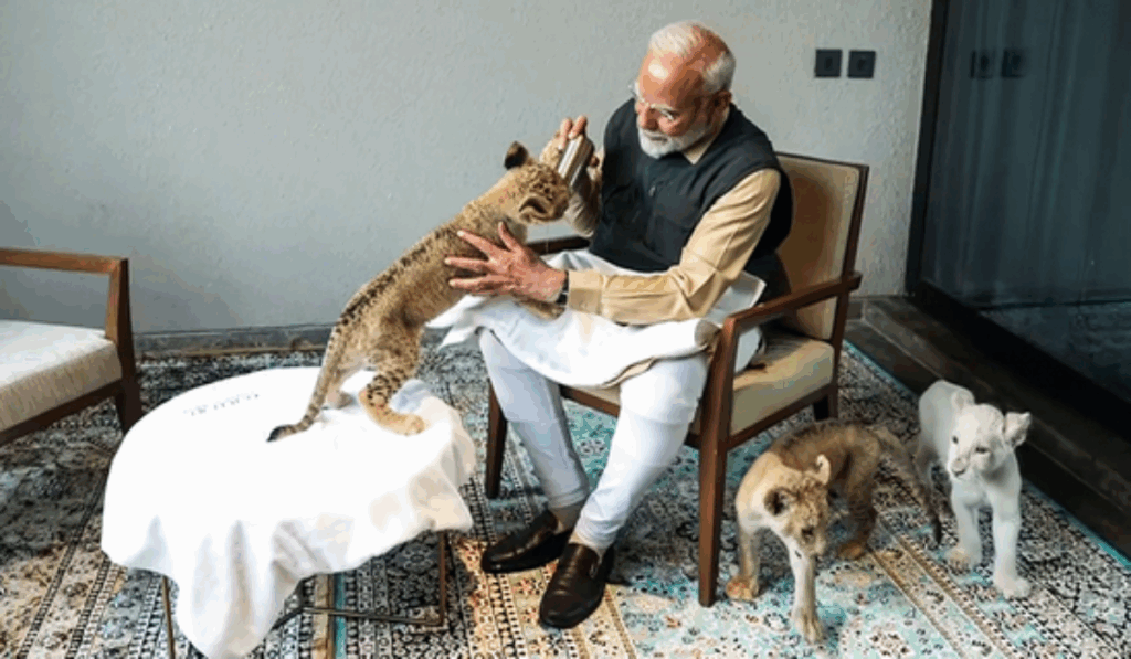 1444749 PM Modi