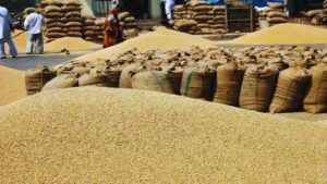 MSP पर गेहूं खरीद में रिकॉर्ड वृद्धि, 29.7 मिलियन टन के पार
