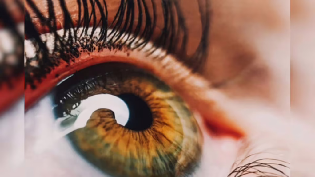 1445016 eye