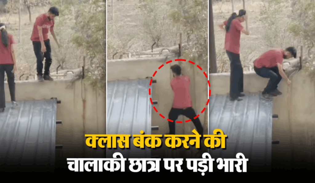 1445196 Viral News11
