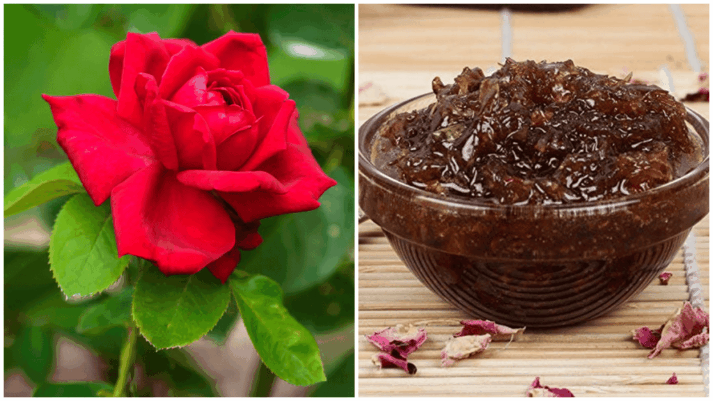 1445493 photo collage.png 2 1