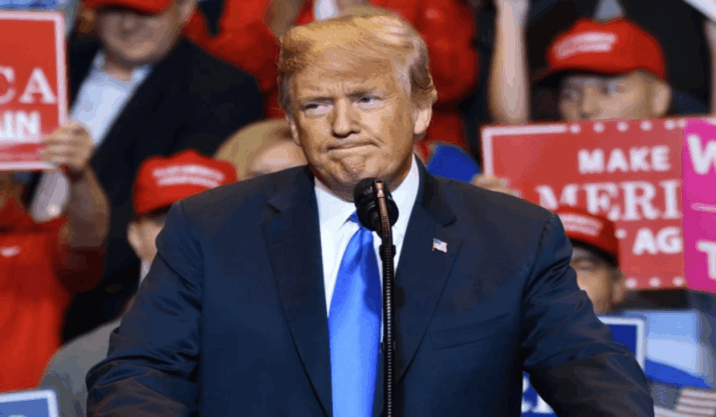 1445991 Donald Trump 1