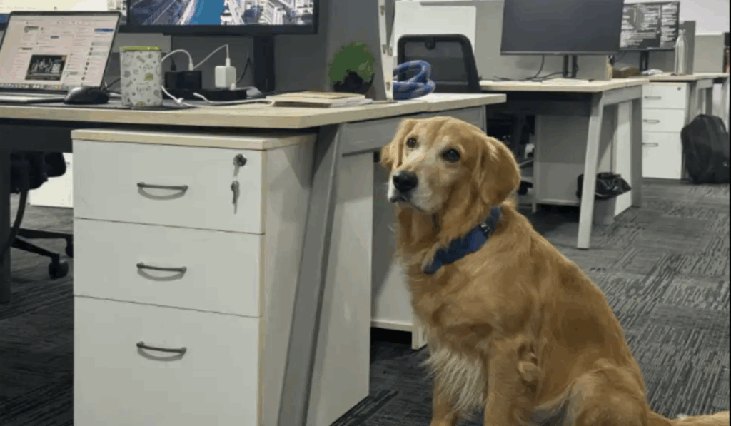 1445997 Dog Hired as Chief Happiness Officer
