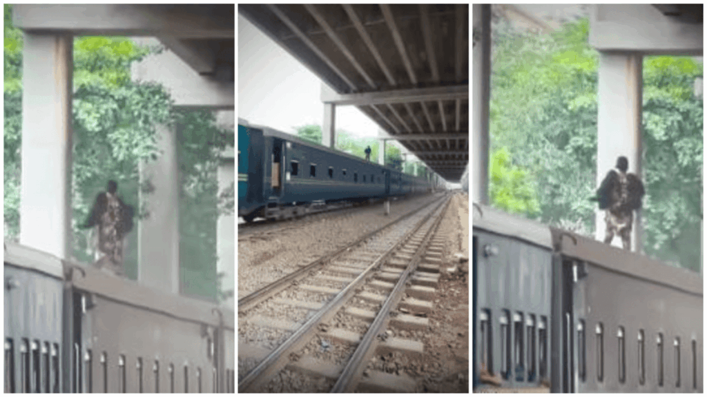 1446153 photo collage.png 1