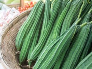 तोरई के औषधीय गुण: पाचन से लेकर त्वचा तक लाभकारी