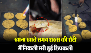 Viral Video: ढाबे की रोटी में निकली मरी हुई छिपकली, वीडियो देखकर बाहर का खाना छोड़ देंगे आप