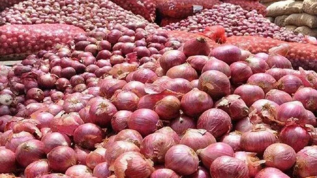 1447982 onion prices
