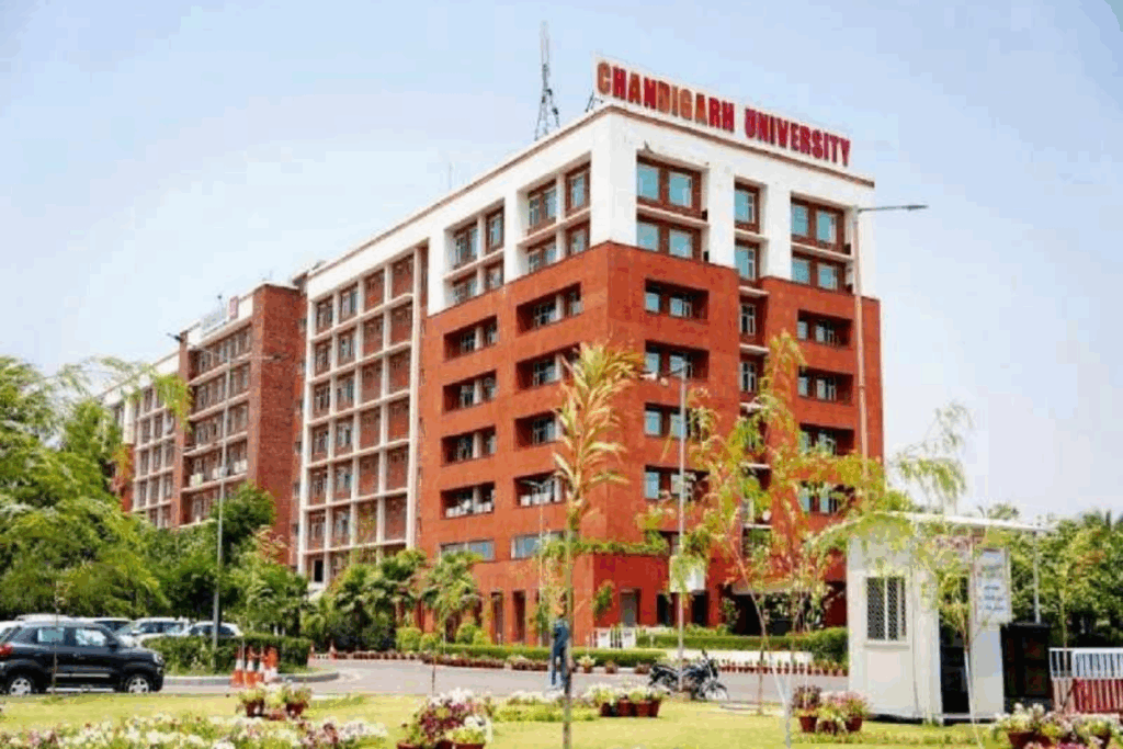 1450064 Chandigarh University