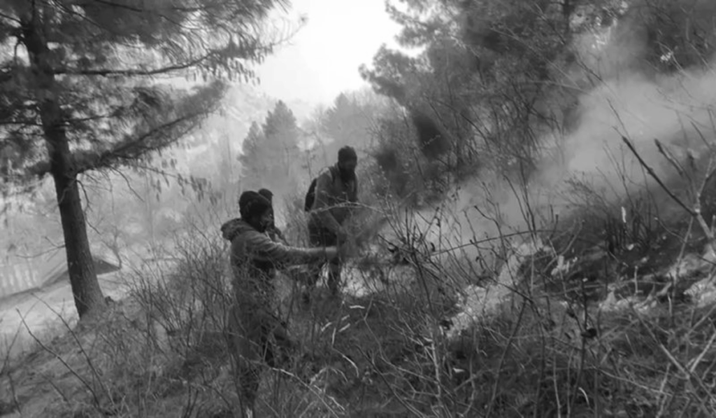 1450123 Rajouri Forest Fire