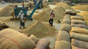 भारत का खाद्यान्न उत्पादन 2025 में 6.83% बढ़कर 1,663.9 लाख टन पहुंचा