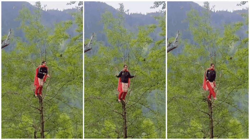 1452908 photo collage.png 1