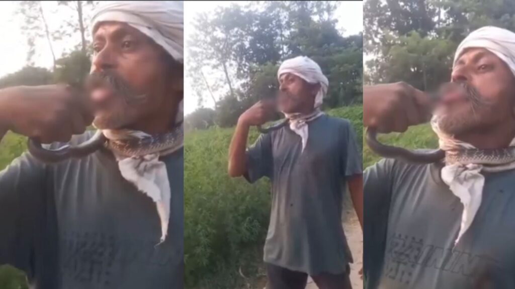 1453932 viral video