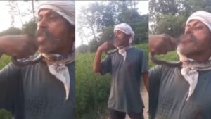 सांप से रोमांस करना पड़ा भारी! अब ICU में जिंदगी और मौत की जंग लड़ रहा शख्स-VIDEO