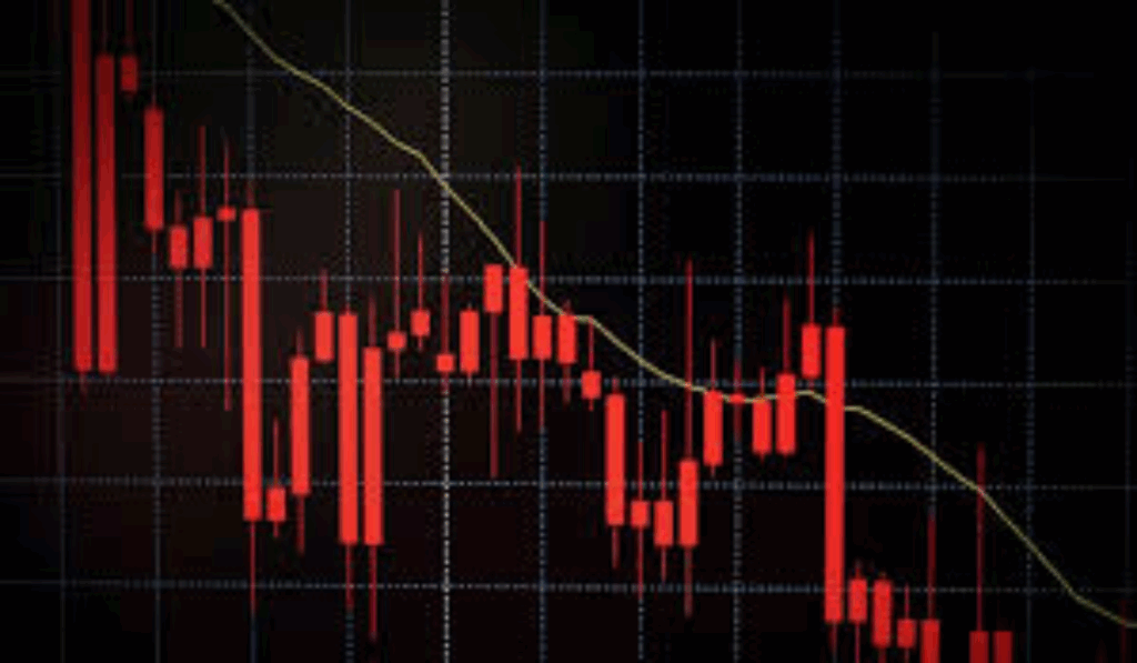 1454949 Stock Market