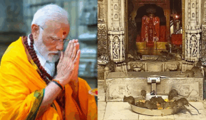 PM Modi ने Bikaner के करणी माता मंदिर में की पूजा, नई ट्रेन को दिखाई हरी झंडी