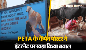 Viral: कुत्ते का दूध पीओगे क्या…, PETA के कैंपेन ने इंटरनेट पर मचाया बवाल, पोस्टर देख भड़के लोग