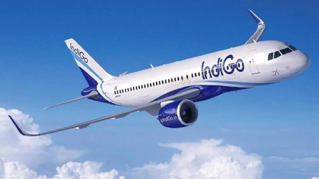 1456049 indigo 1 1747072895