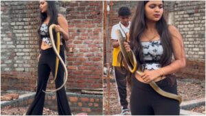 Viral News : दीदी की हिम्मत को तो मानना पड़ेगा, मेकअप में सांप पकड़ने पहुंची, देखें वीडियो