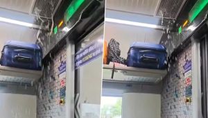 Vande Bharat Express